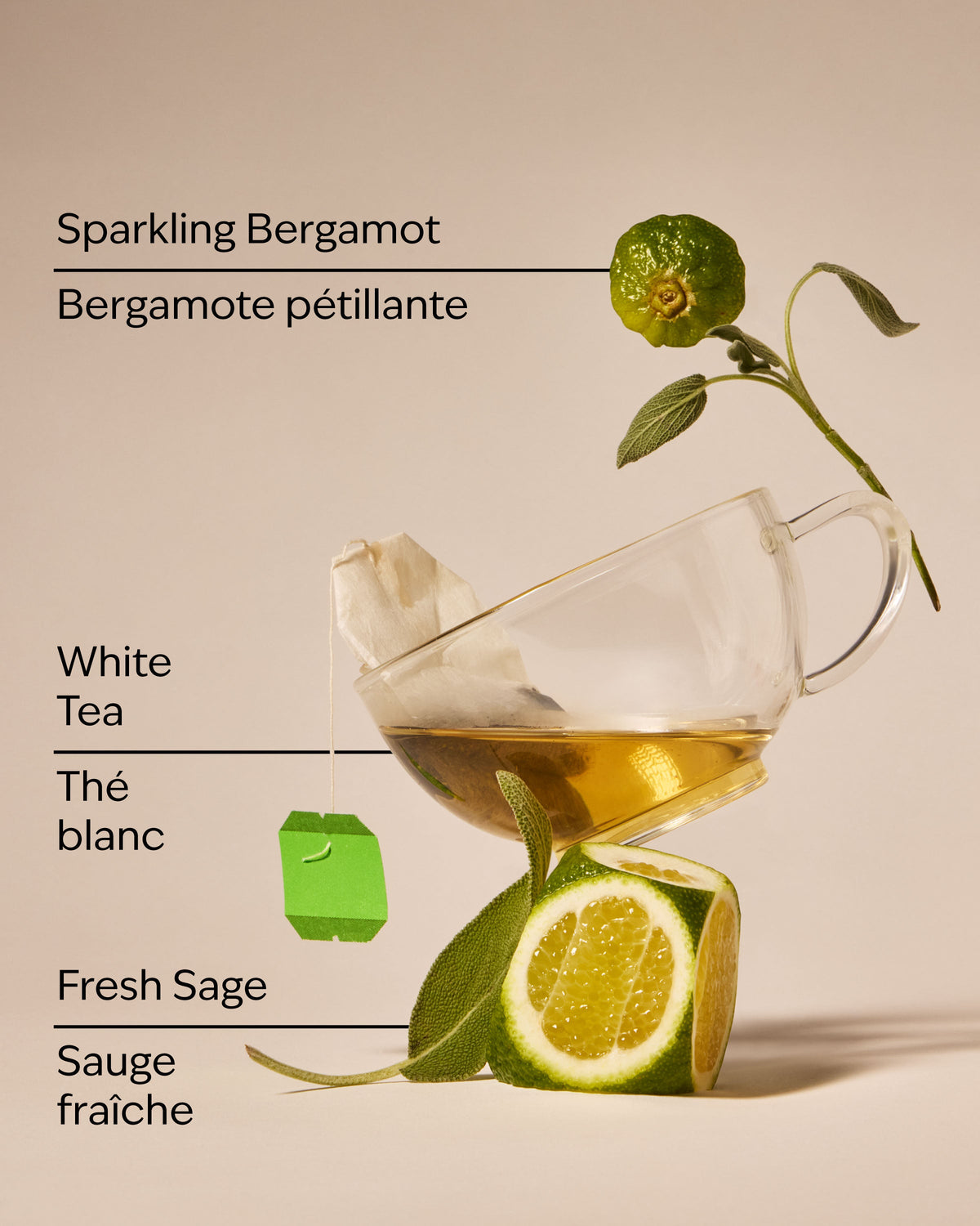 White Tea & Sage Concentrated Room Spray image 3