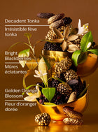 Touch of Gold Body Lotion image 3