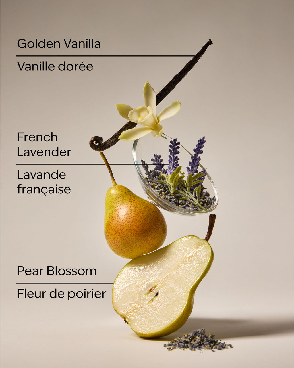 Moonlit Goddess Wallflowers Fragrance Refill image 3