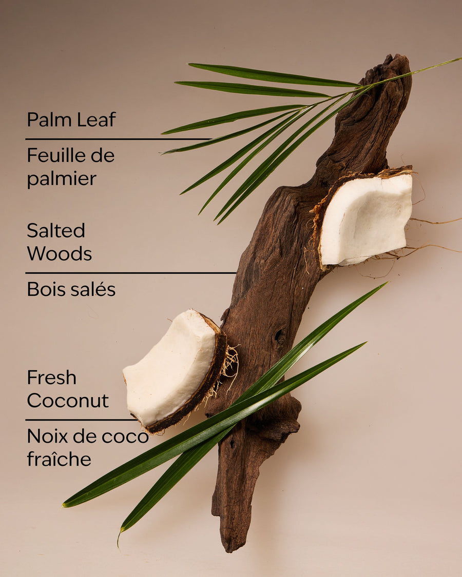 Coconut Nectar Travel Size Fine Fragrance Mist image 3