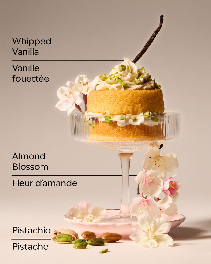 Toasted Pistachio Travel Size Fine Fragrance Mist image 3
