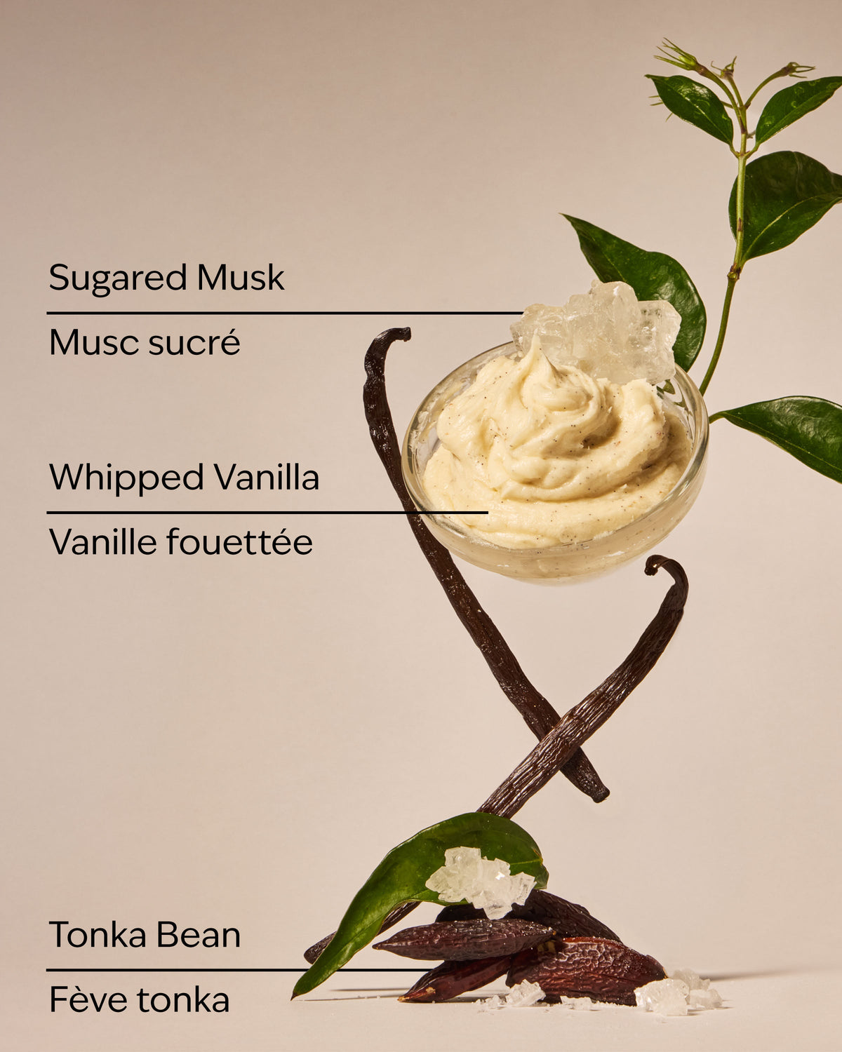 Wild Vanilla Travel Size Fine Fragrance Mist image 3