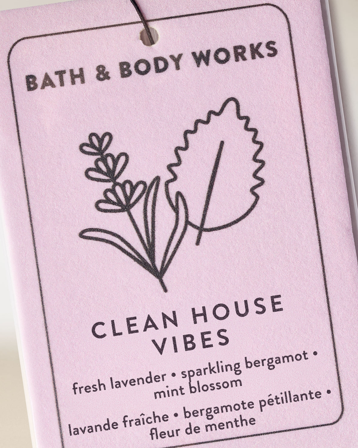 Clean House Vibes Hanging Fragrance Diffuser image 2