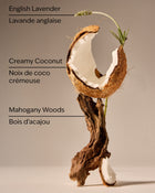 Mahogany Coconut Gentle & Clean Foaming Hand Soap image 2