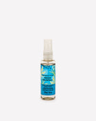 Fresh Rainfall Hand Sanitizer Spray