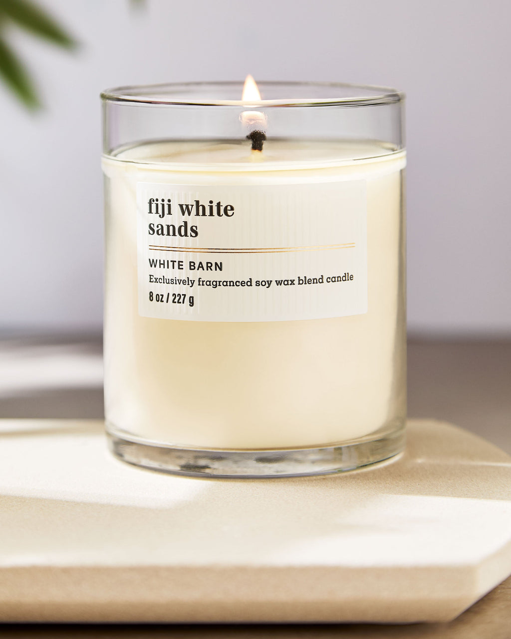 Fiji White Sands Single Wick Candle image 6