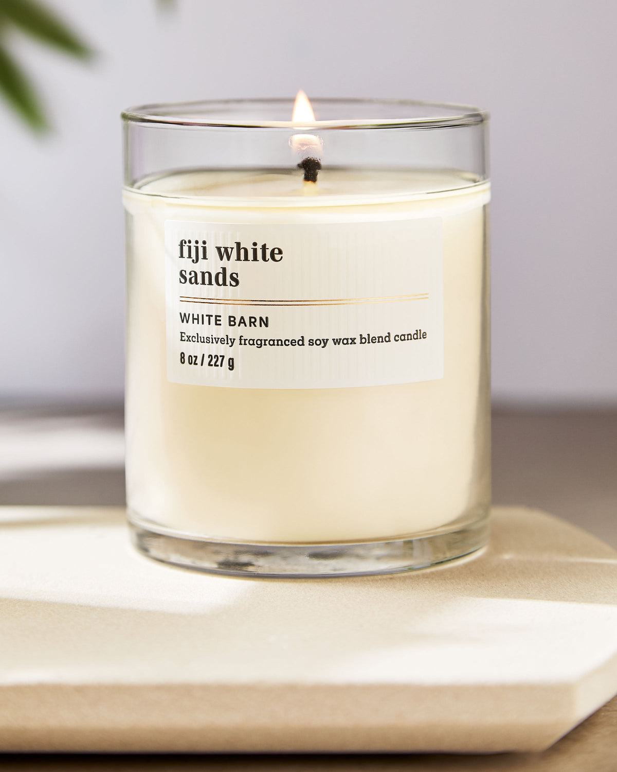 Fiji White Sands Single Wick Candle image 6