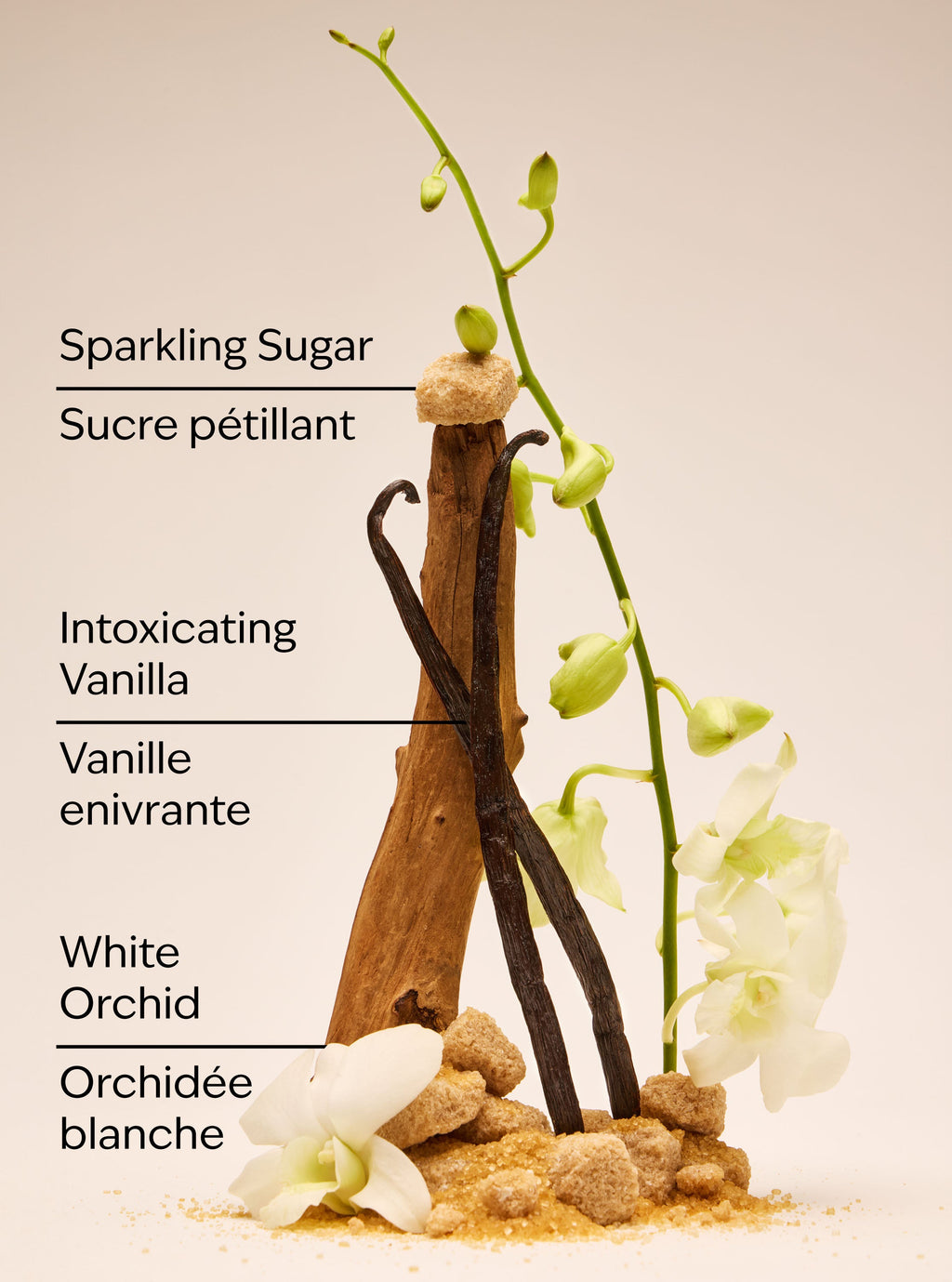Warm Vanilla Sugar Body Lotion image 3