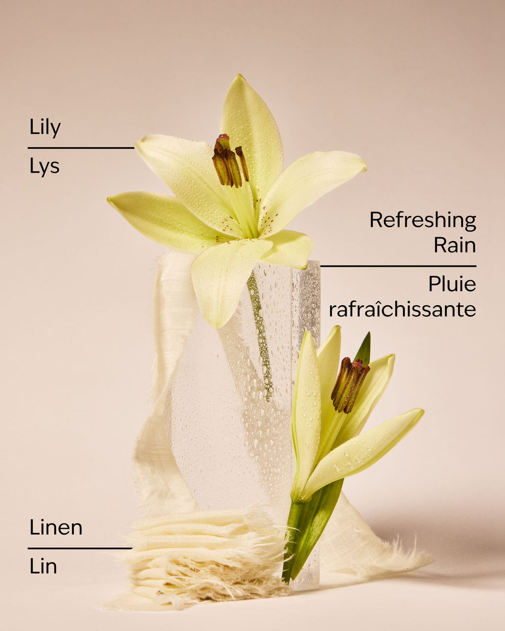 Fresh Rainfall & Linen Single Wick Candle image 3