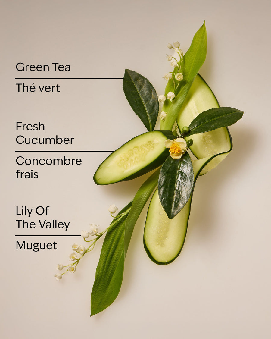 Cucumber & Lily Daily Moisturizing Hand Soap image 3