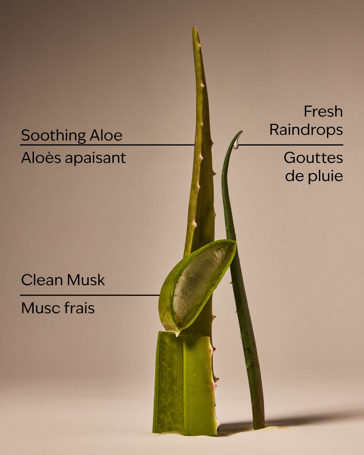 Cool Aloe Water Daily Moisturizing Hand Soap image 3