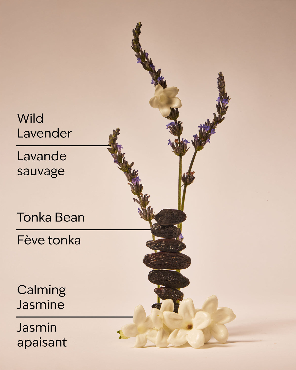Sweet Lavender Daily Moisturizing Hand Soap image 3