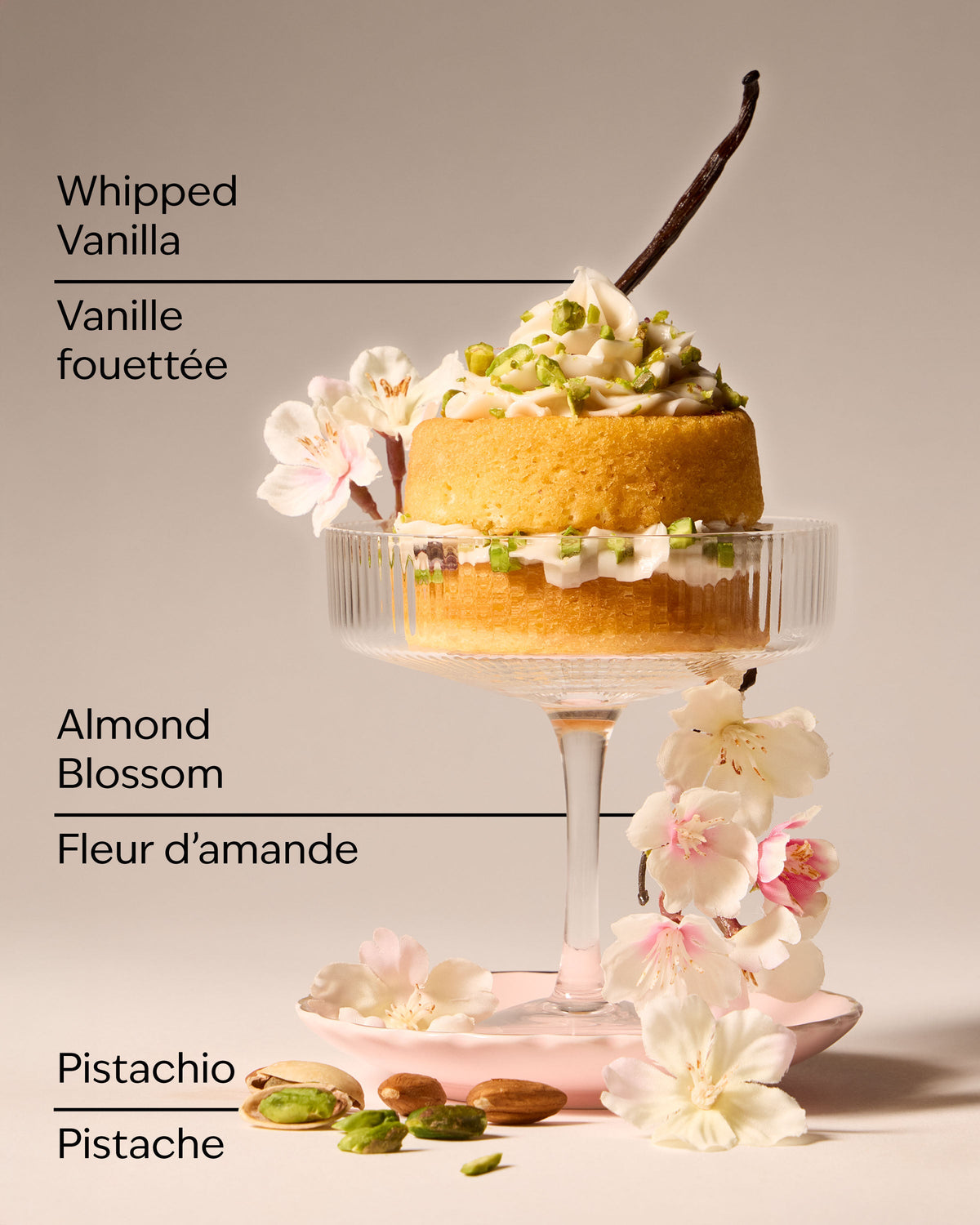 Toasted Pistachio Travel Size Fine Fragrance Mist image 3