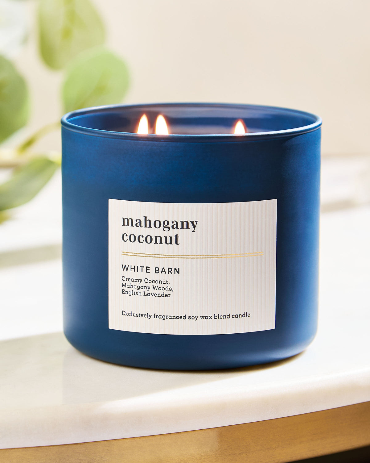 Mahogany Coconut 3-Wick Candle image 5
