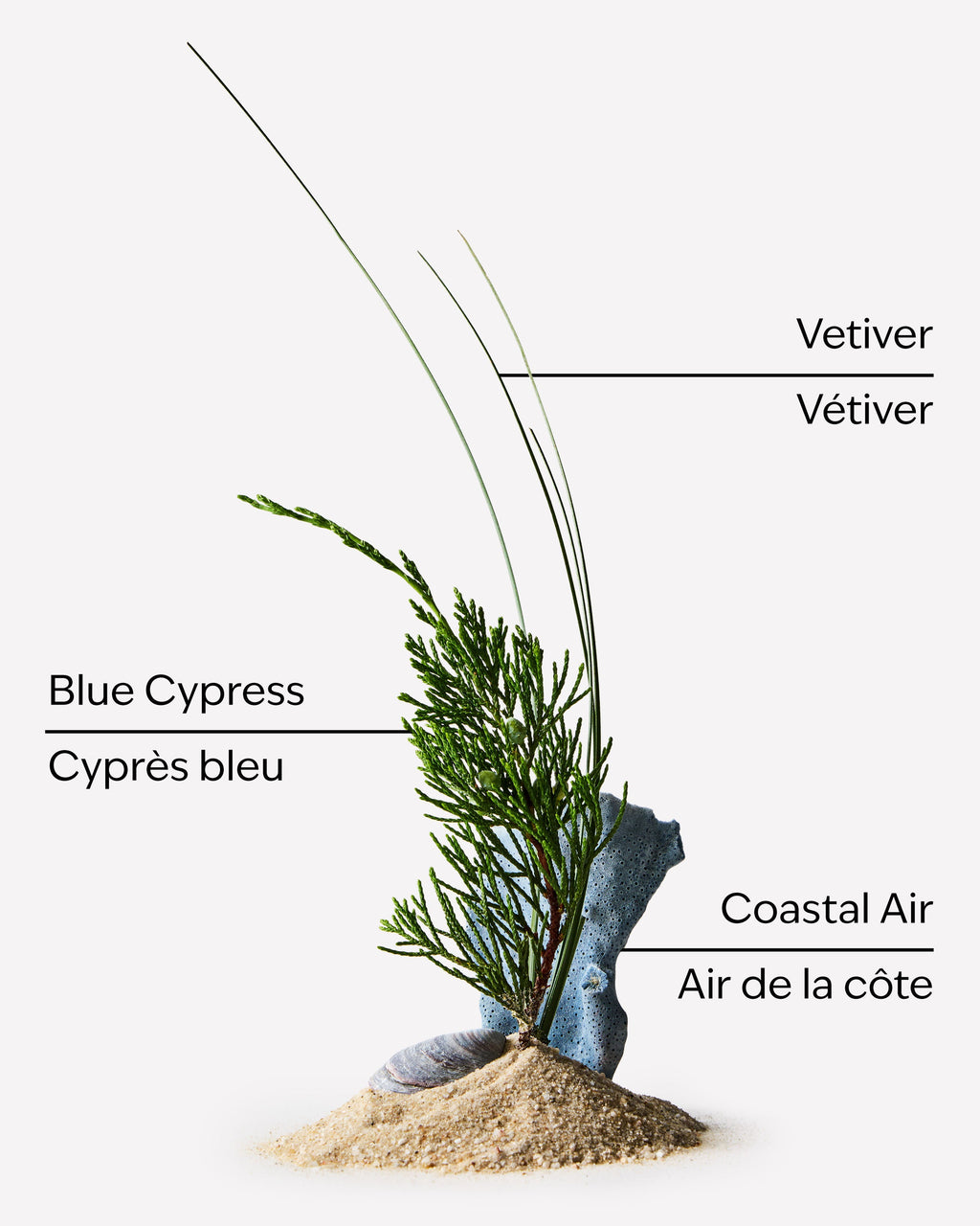 Ocean Deodorizing Body Spray image 3