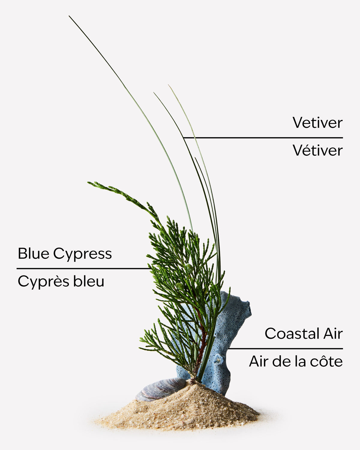 Ocean Deodorizing Body Spray image 3