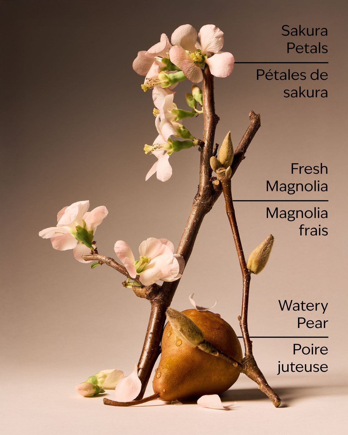 Forever Cherry Blossom Ultimate Hydration Body Cream image 3