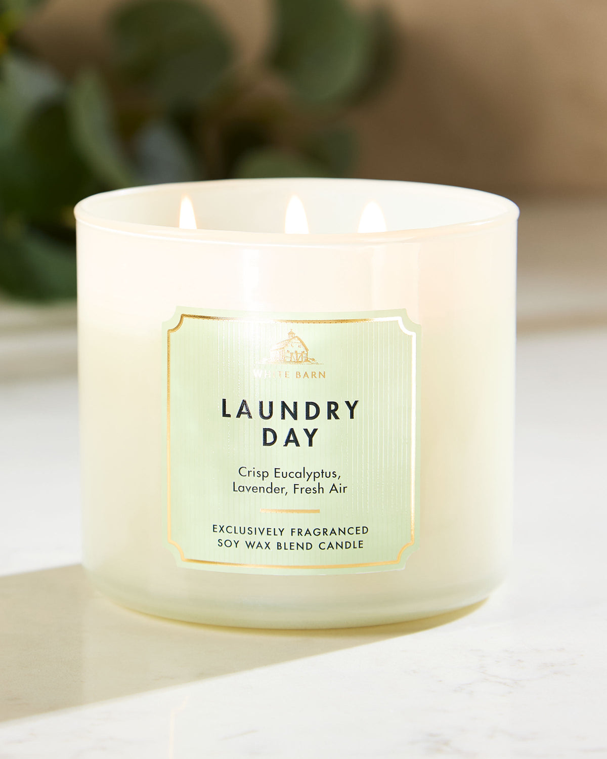 Laundry Day 3-Wick Candle image 6