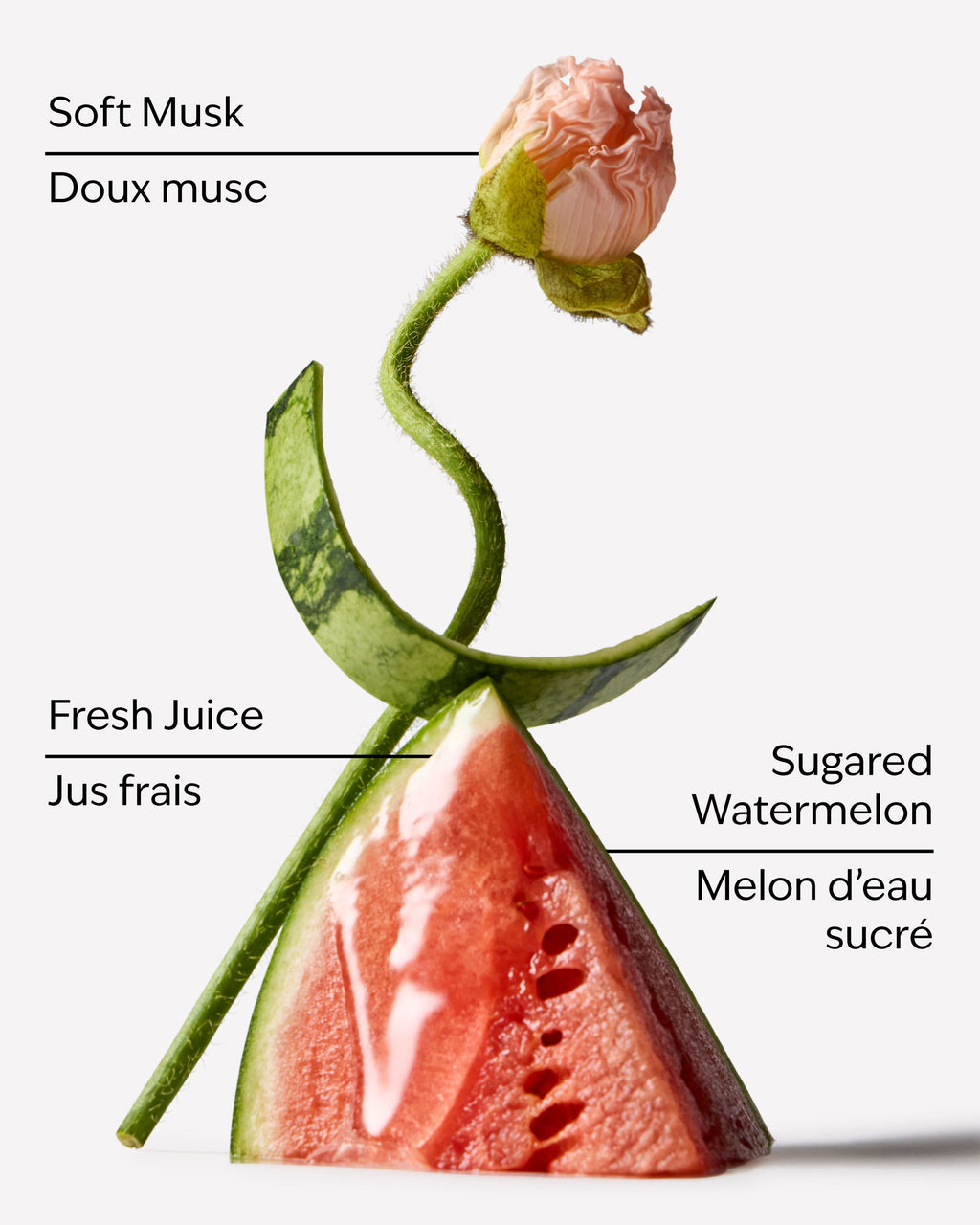 Watermelon Whirl Travel Size Perfume Mist image 2