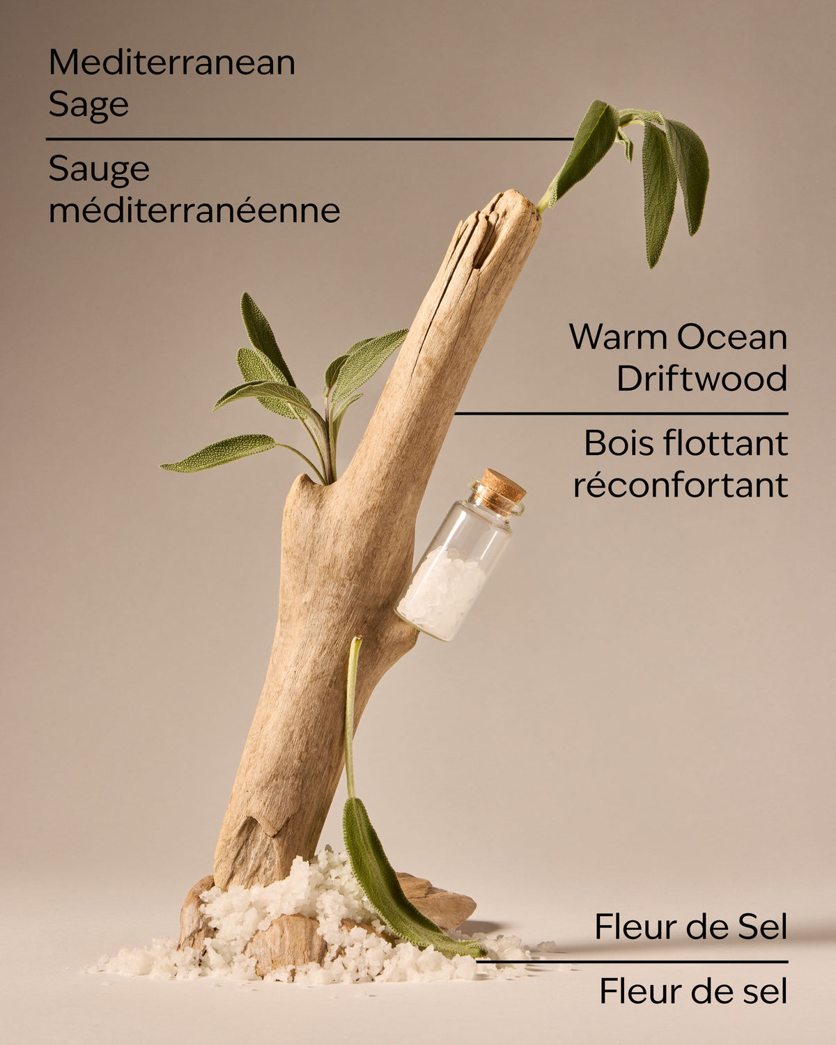 Sea Salt & Driftwood Wallflowers Fragrance Refill image 3