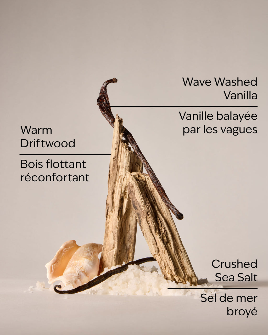 Coastal Dreaming Body Lotion image 3