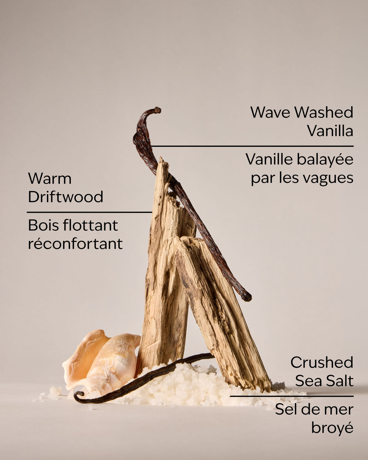 Coastal Dreaming Body Lotion image 3