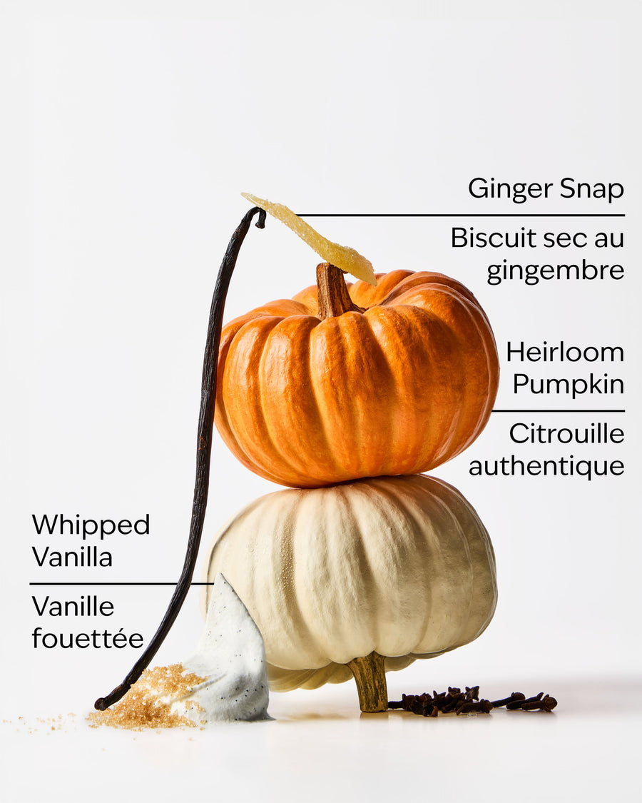 Sweet Cinnamon Pumpkin Body Wash image 3