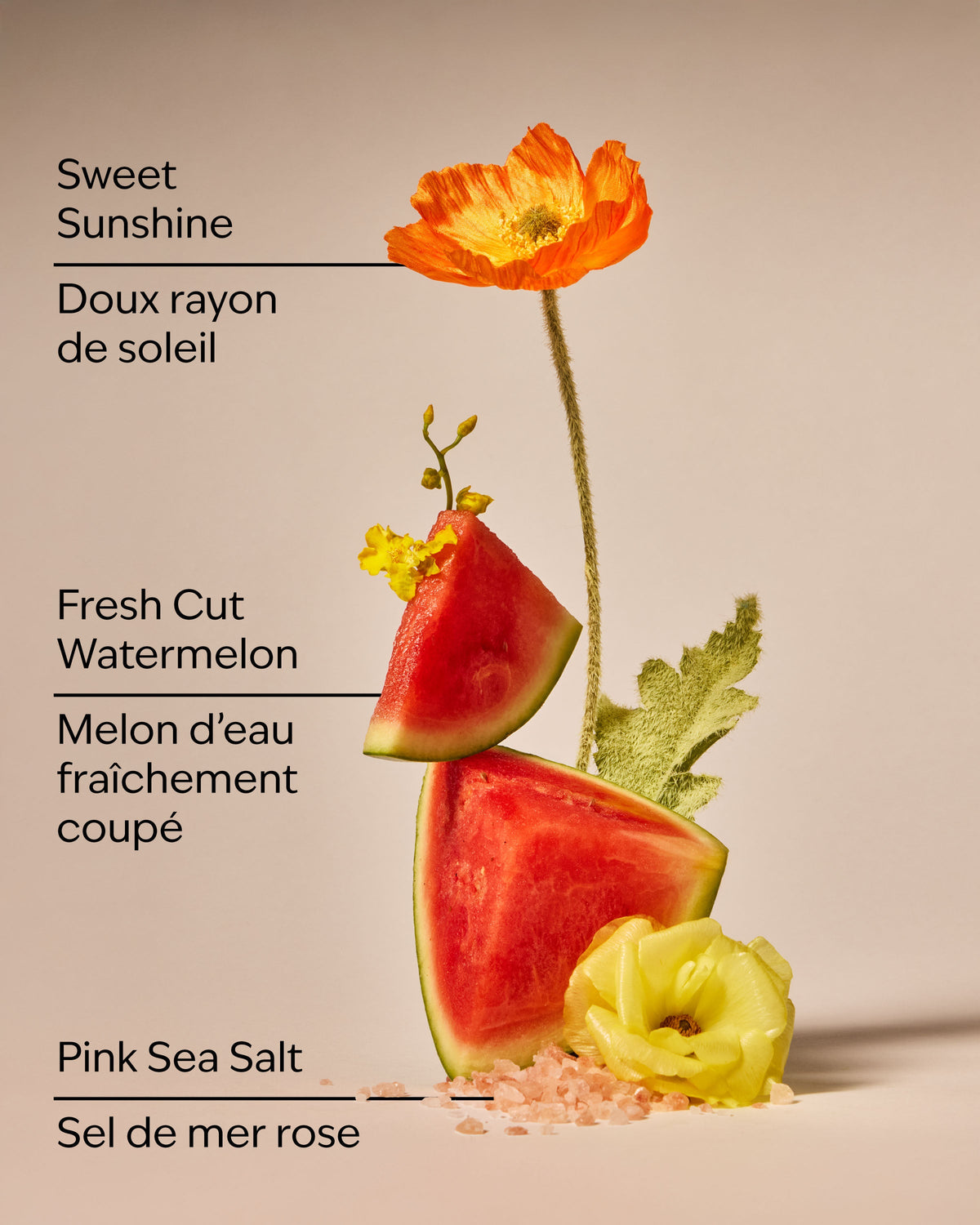 Fresh Watermelon Revitalizing Hand Soap image 3