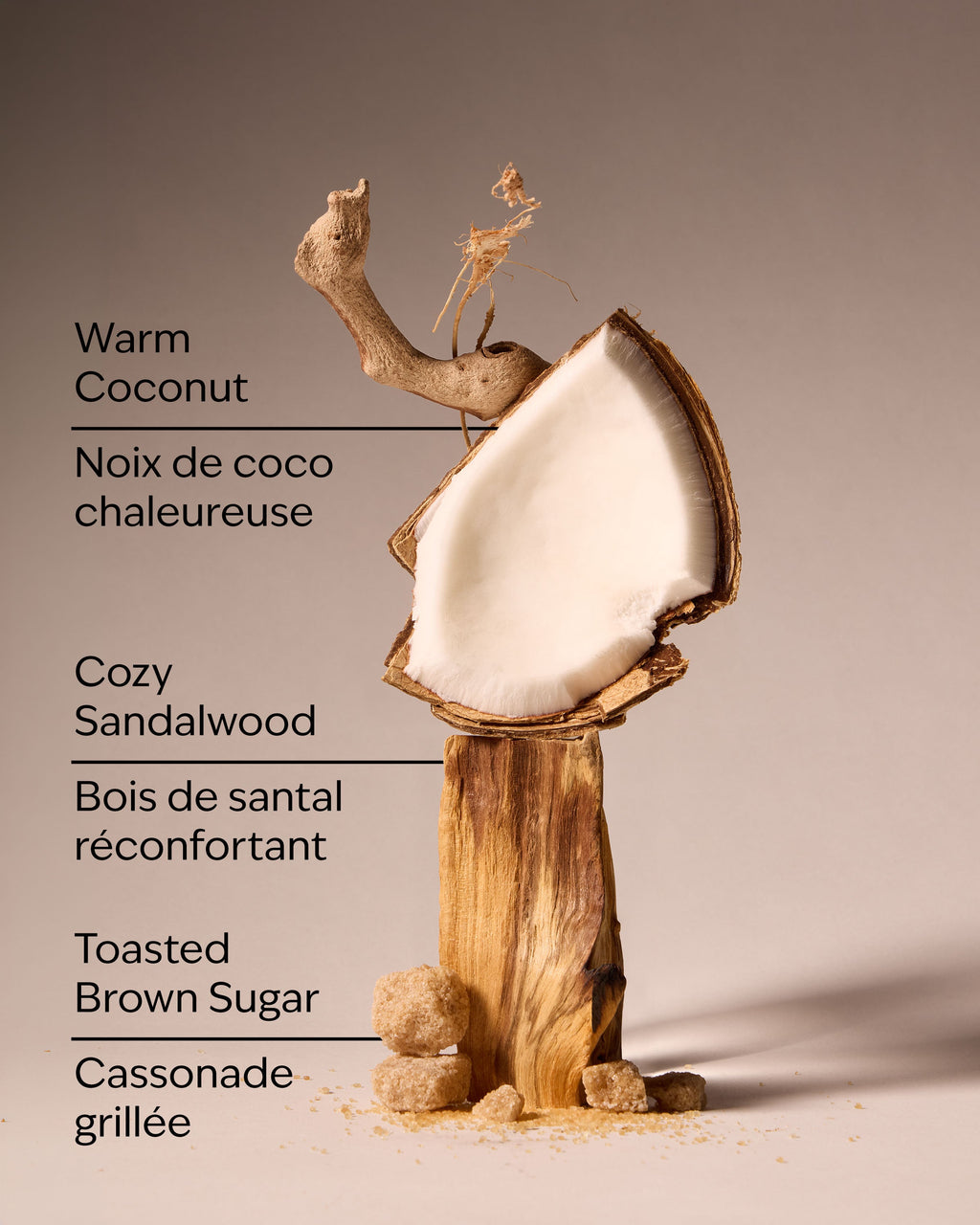 Brown Sugar Coconut Revitalizing Hand Soap image 3