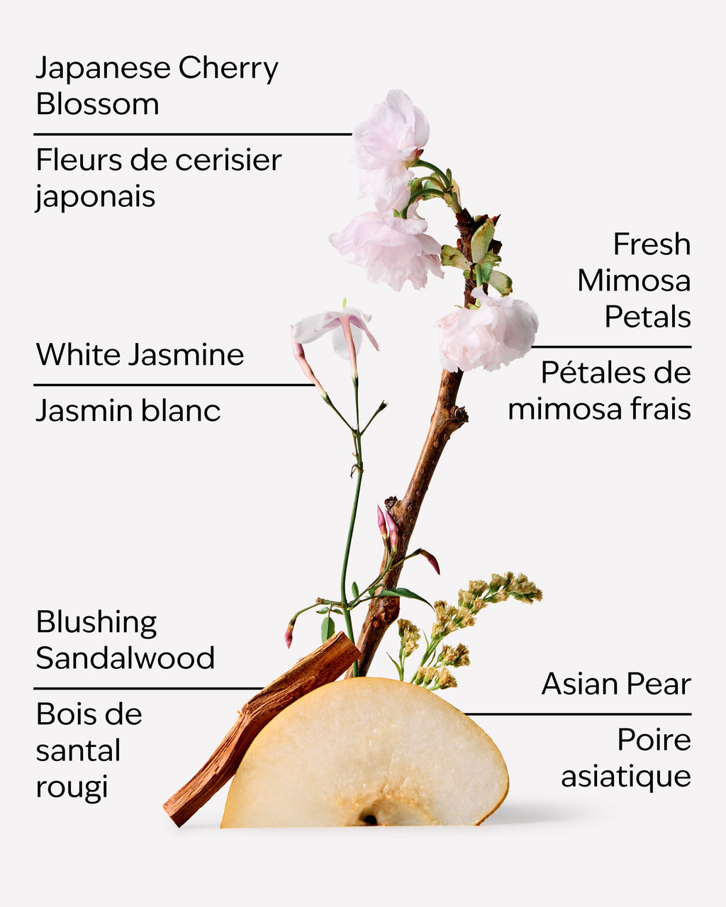Japanese Cherry Blossom Moisturizing Body Wash image 3