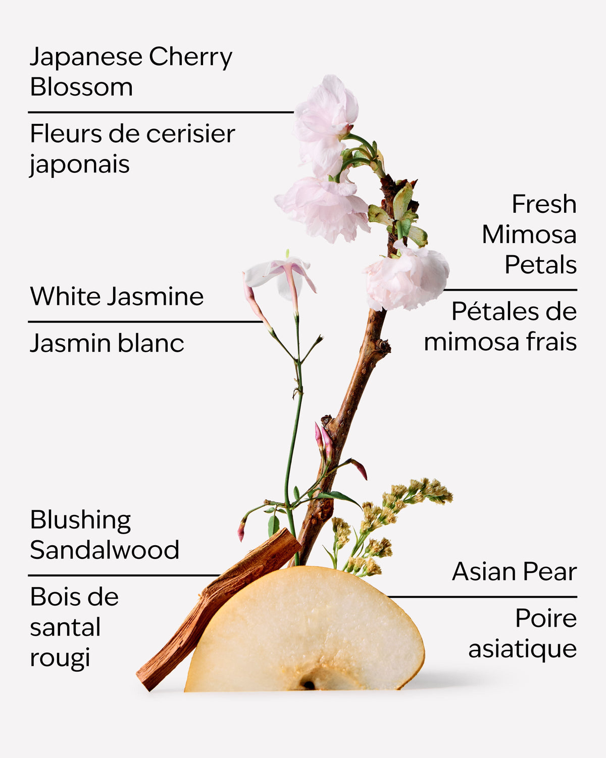 Japanese Cherry Blossom Moisturizing Body Wash image 3