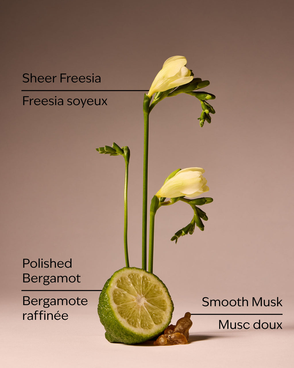 Lounge Talk Wallflowers Fragrance Refill image 3