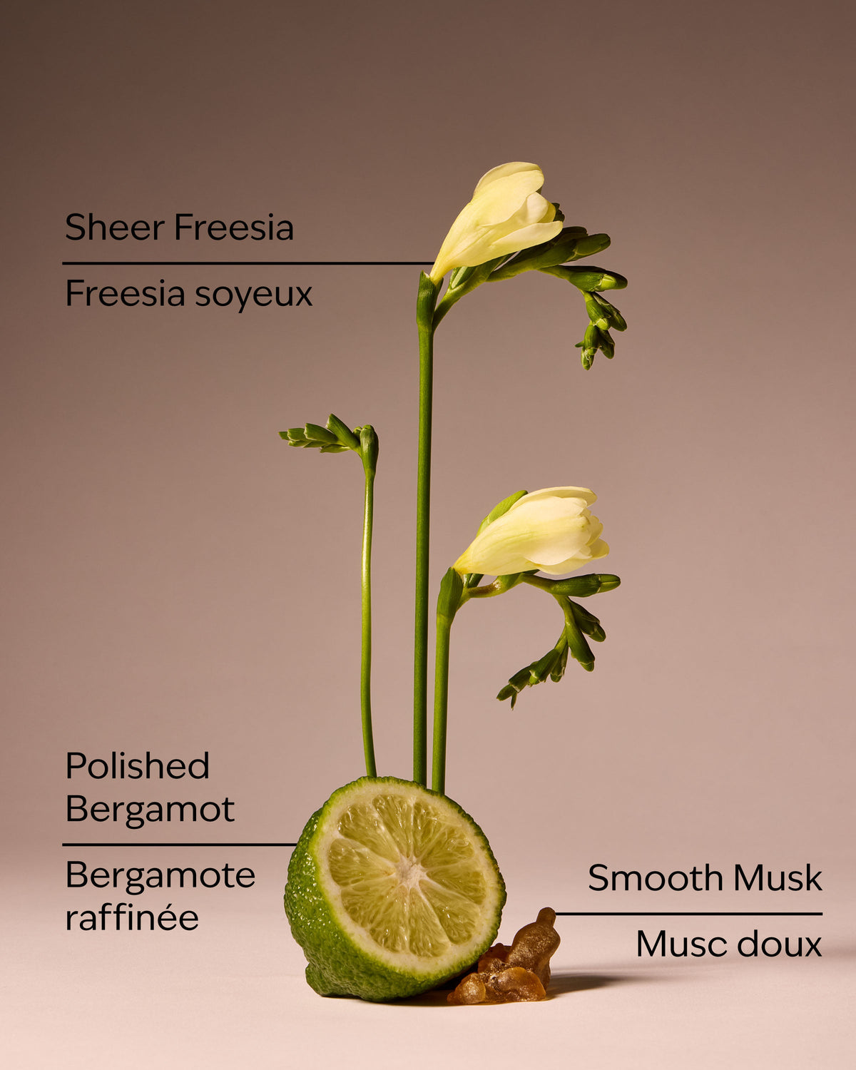 Lounge Talk Wallflowers Fragrance Refill image 3