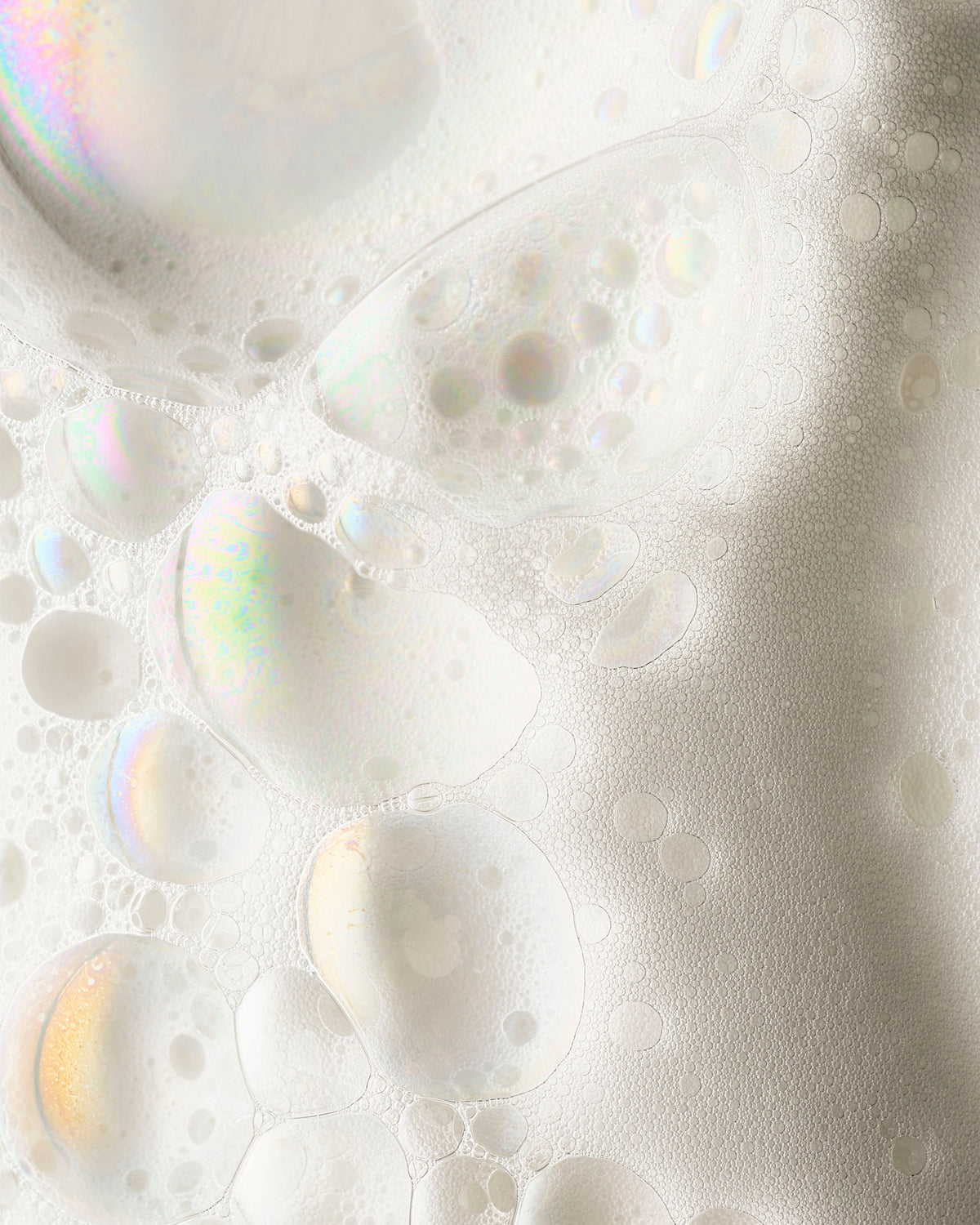 Fresh Fall Morning Gentle & Clean Foaming Hand Soap image 5