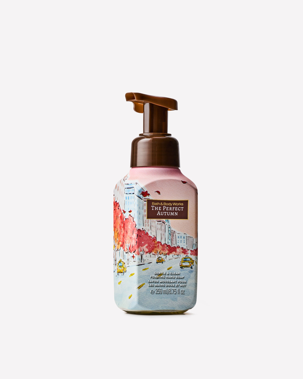 The Perfect Autumn Gentle and Clean Foaming Hand Soap
