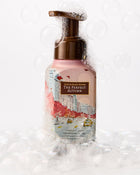 The Perfect Autumn Gentle & Clean Foaming Hand Soap image 2
