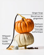 Sweet Cinnamon Pumpkin Gentle & Clean Foaming Hand Soap Refill image 3