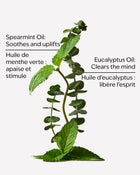 Eucalyptus Spearmint Moisturizing Body Wash image 3