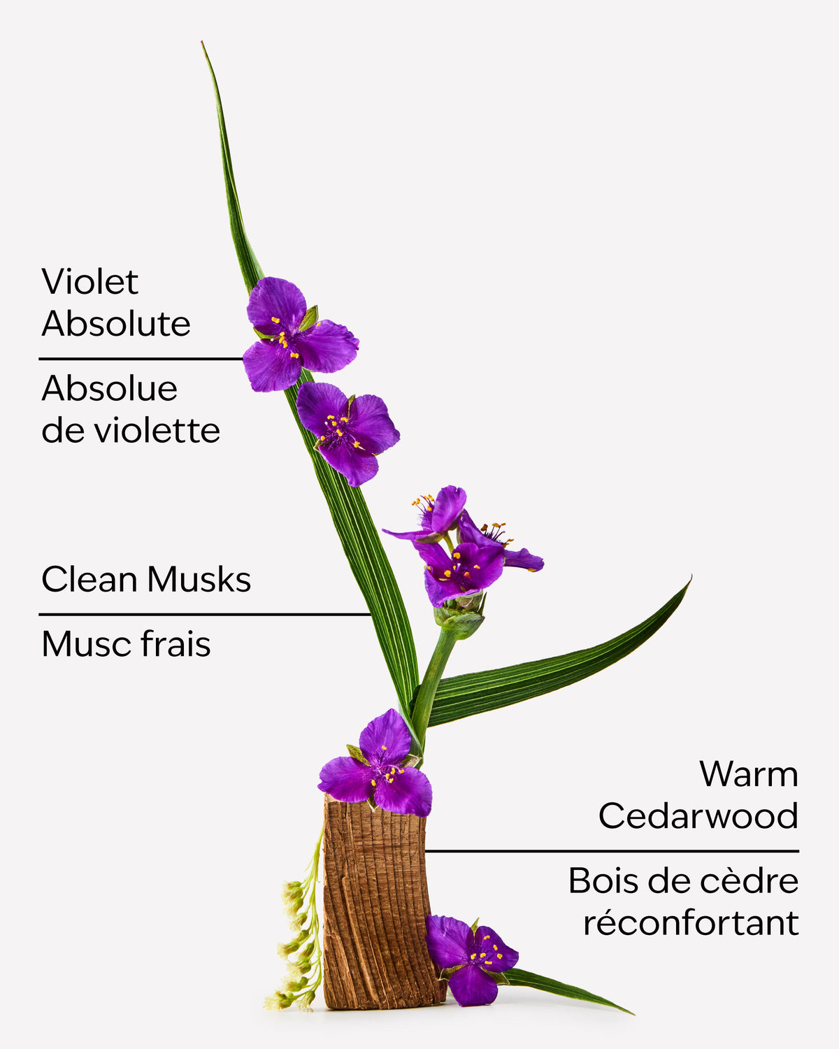Very Violet Travel Size Fine Fragrance Mist image 2