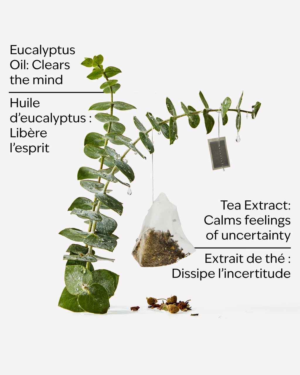 Eucalyptus Tea Moisturizing Body Lotion image 3