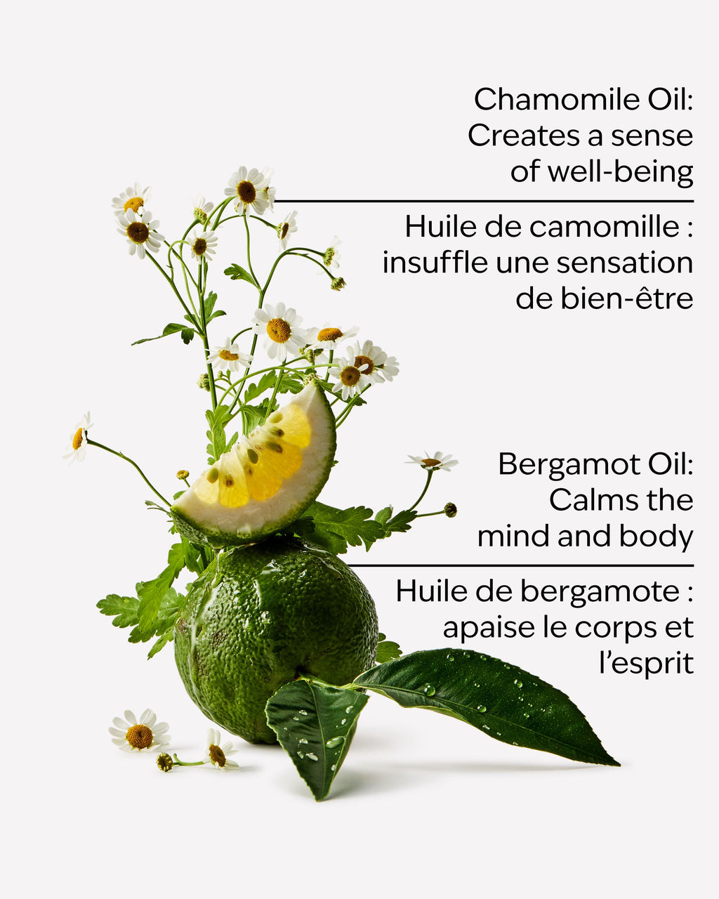 Black Chamomile Essential Oil Mist image 2