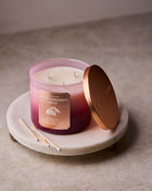 Apple Cinnamon Spice 3-Wick Candle image 3