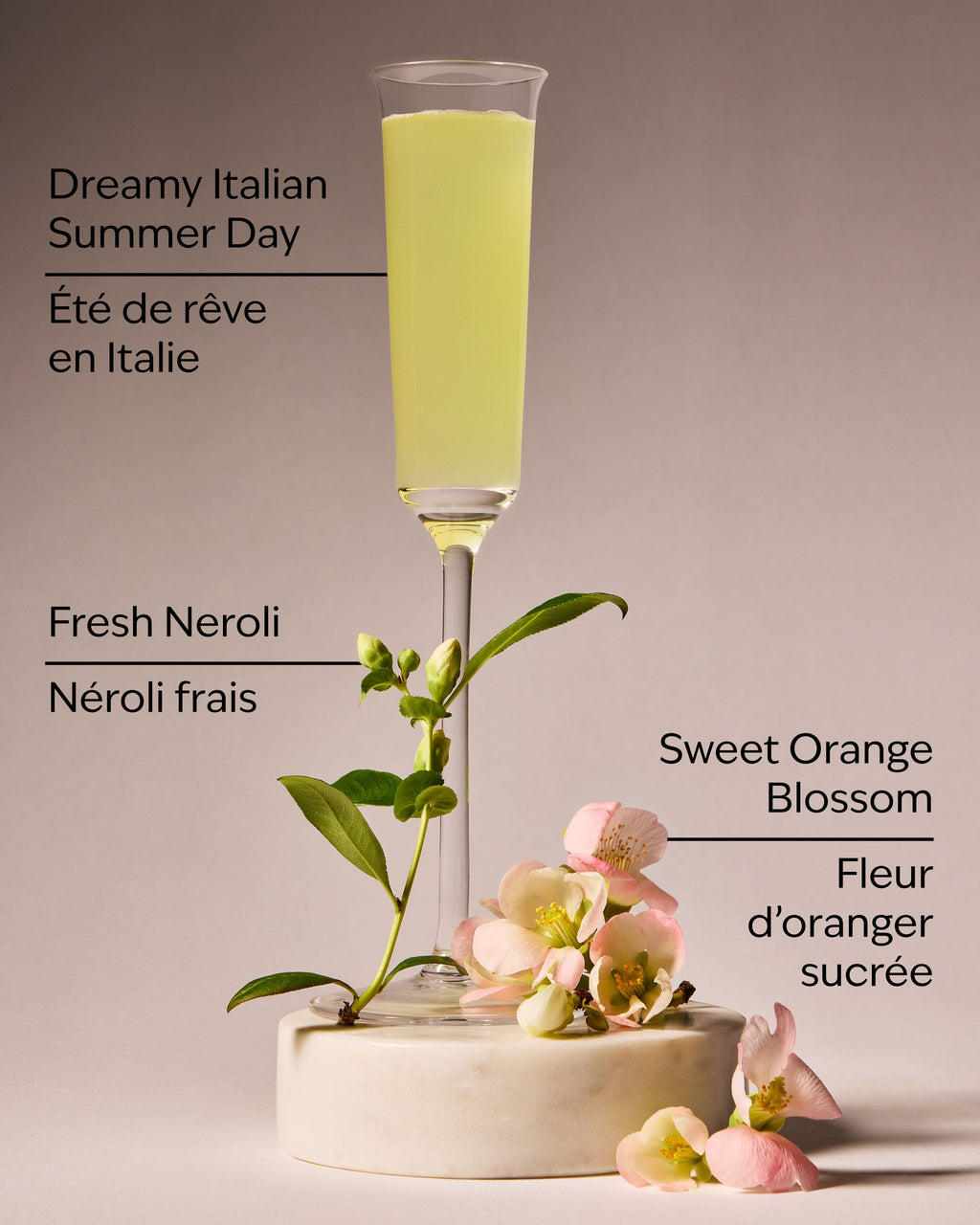Villa Portofino Wallflowers Fragrance Refill image 3