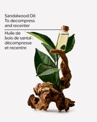 Sandalwood Moisturizing Body Lotion image 3