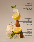 Fresh Amalfi Lemon Concentrated Room Spray image 3