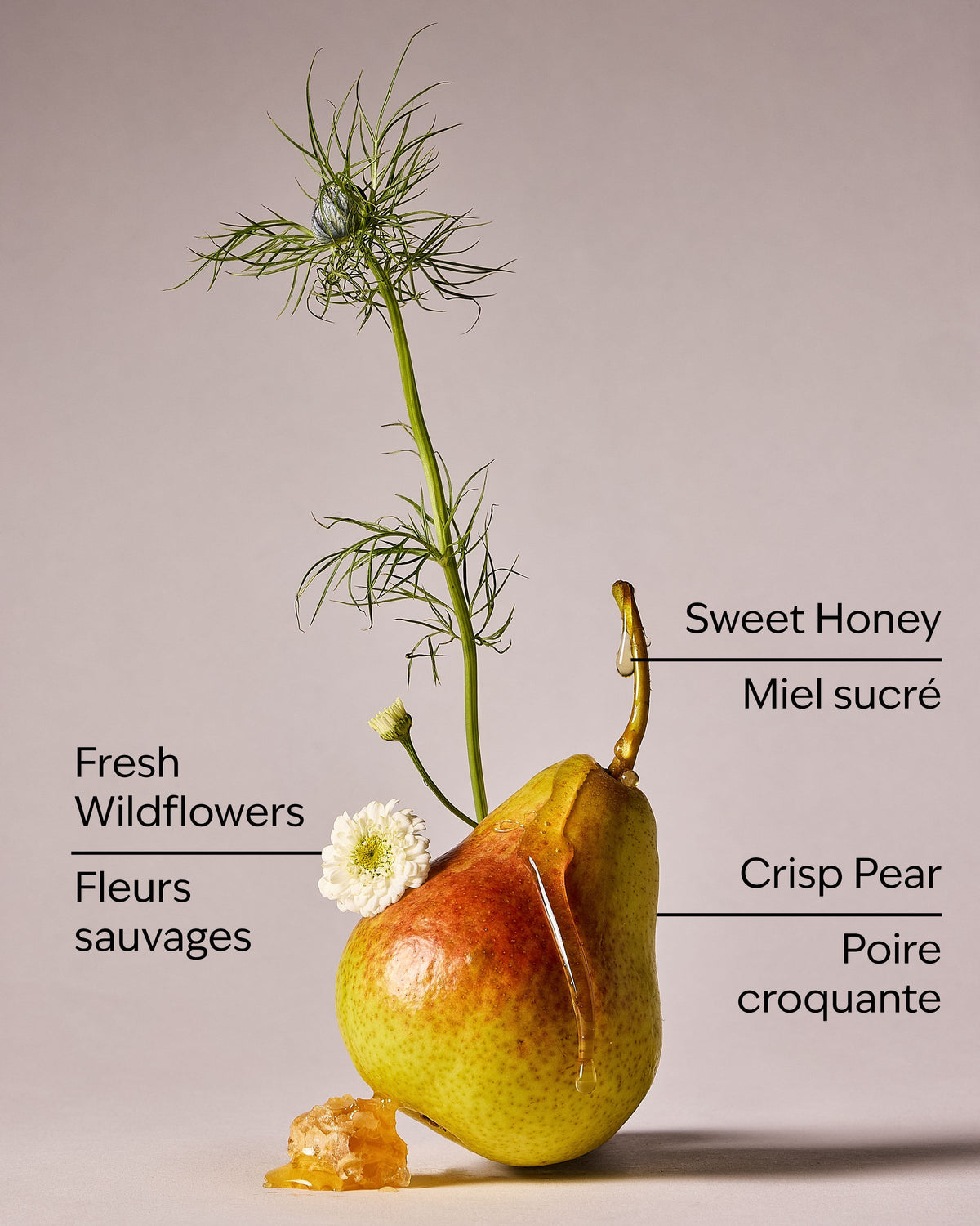 Honey Wildflower Concentrated Room Spray image 3