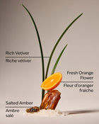 Salted Amber & Vetiver Concentrated Room Spray image 3