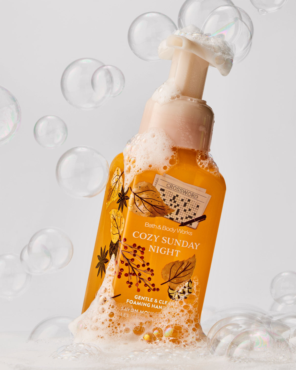 Cozy Sunday Night Gentle & Clean Foaming Hand Soap image 2
