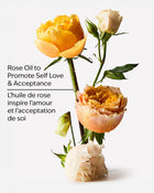 Heirloom Rose Body Wash & Foam Bath image 3