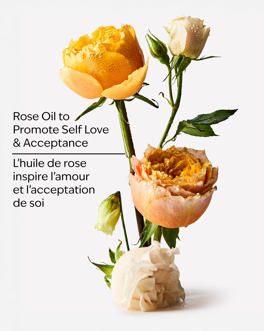 Heirloom Rose Body Wash & Foam Bath image 3